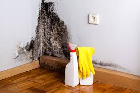 Best Dehumidification Services  in North Salt Lake, UT